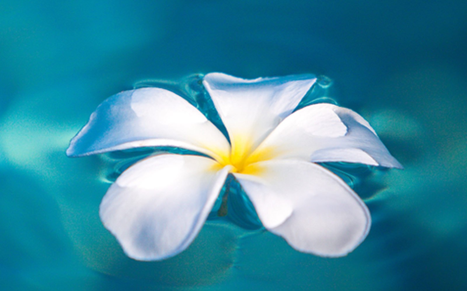 Decloaking and Living Authentically